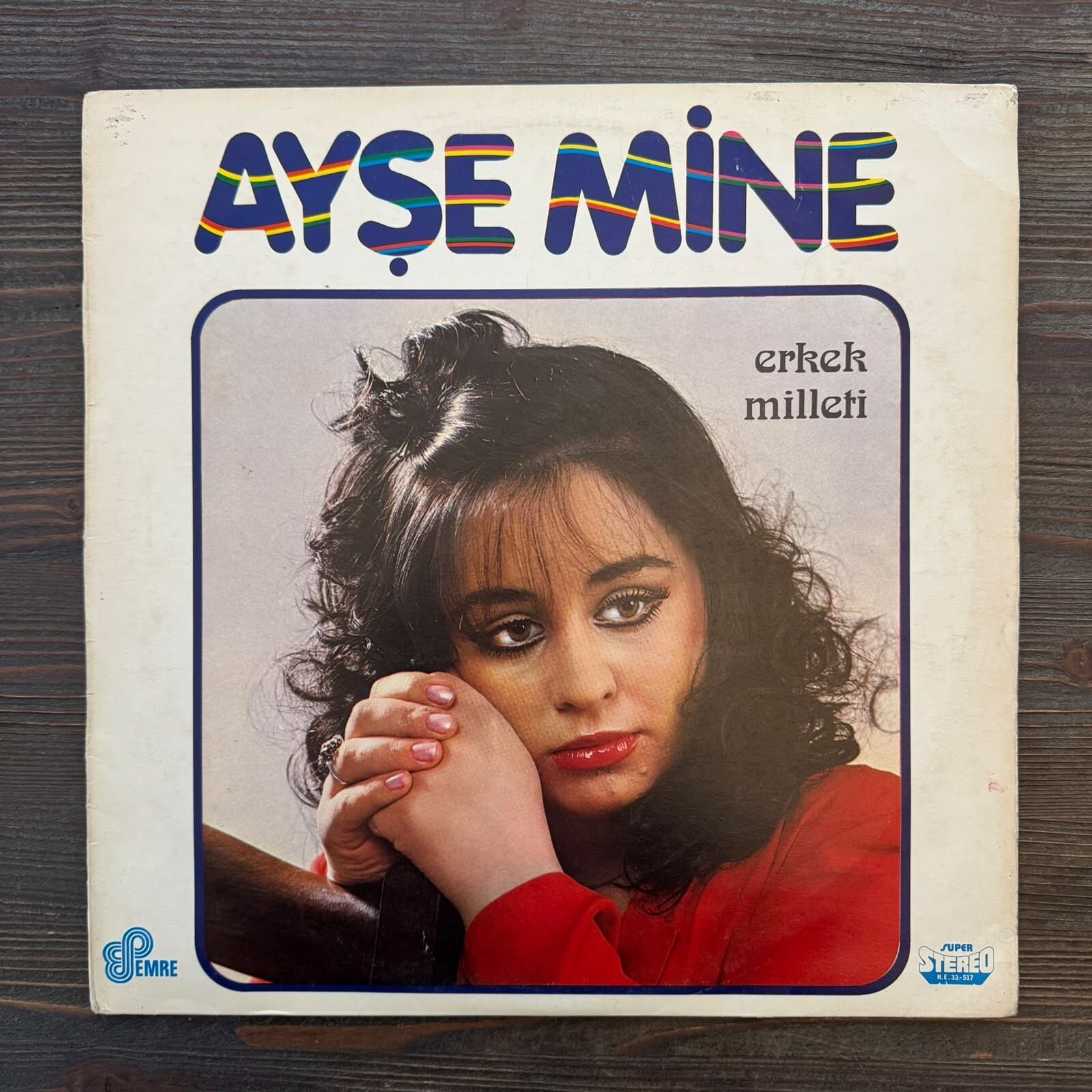 Ayşe Mine – Erkek Milleti LP