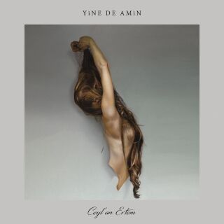 Ceylan Ertem-Yine de Amin