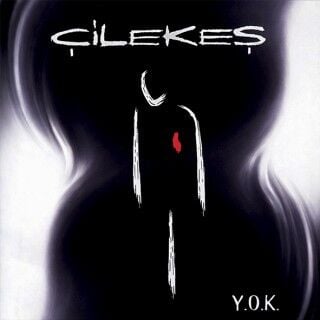Çilekeş-Y.O.K.