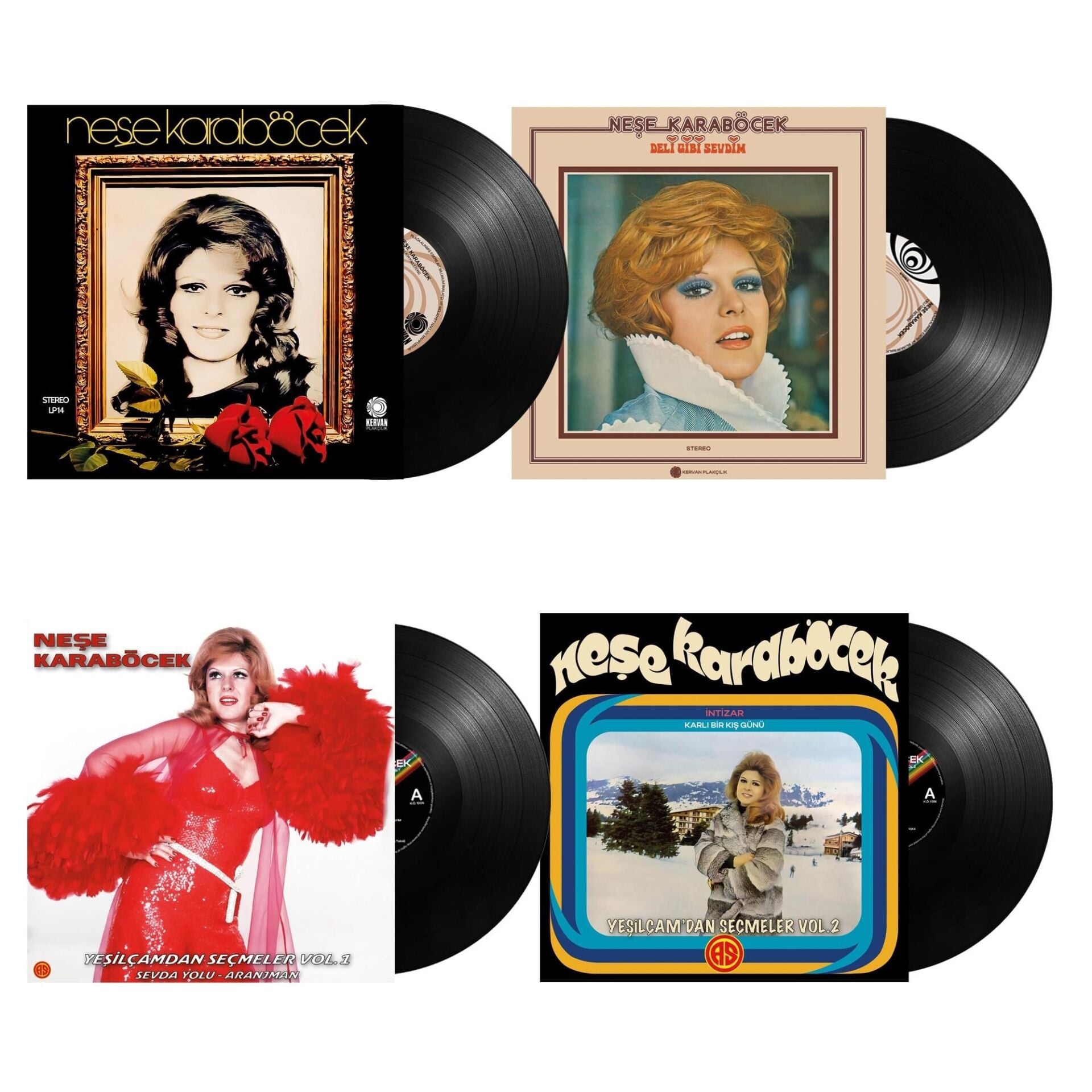 Neşe Karaböcek - Özel Set (4 Plak)