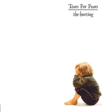 TEARS FOR FEARS - THE HURTING