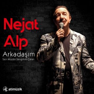 Nejat Alp-Arkadaşım / Sen miydin Sevgilimi Çalan