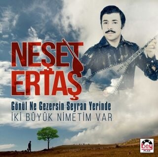 Neşet Ertaş-Gönül Ne Gezersin Seyran Yerinde / İki Büyük Nimetim Var