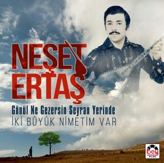 Neşet Ertaş-Gönül Ne Gezersin Seyran Yerinde / İki Büyük Nimetim Var